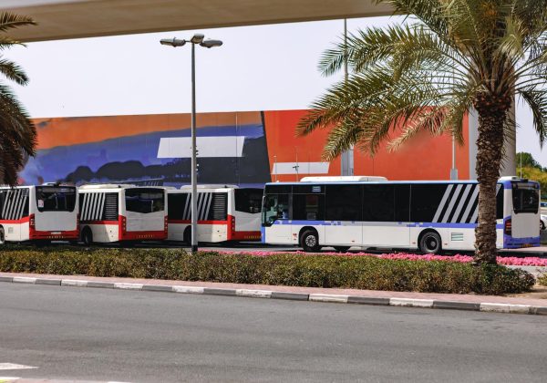 יוצאים לטיול בעיר הקודש? כל הסיבות לפנות לחברת הסעות בירושלים